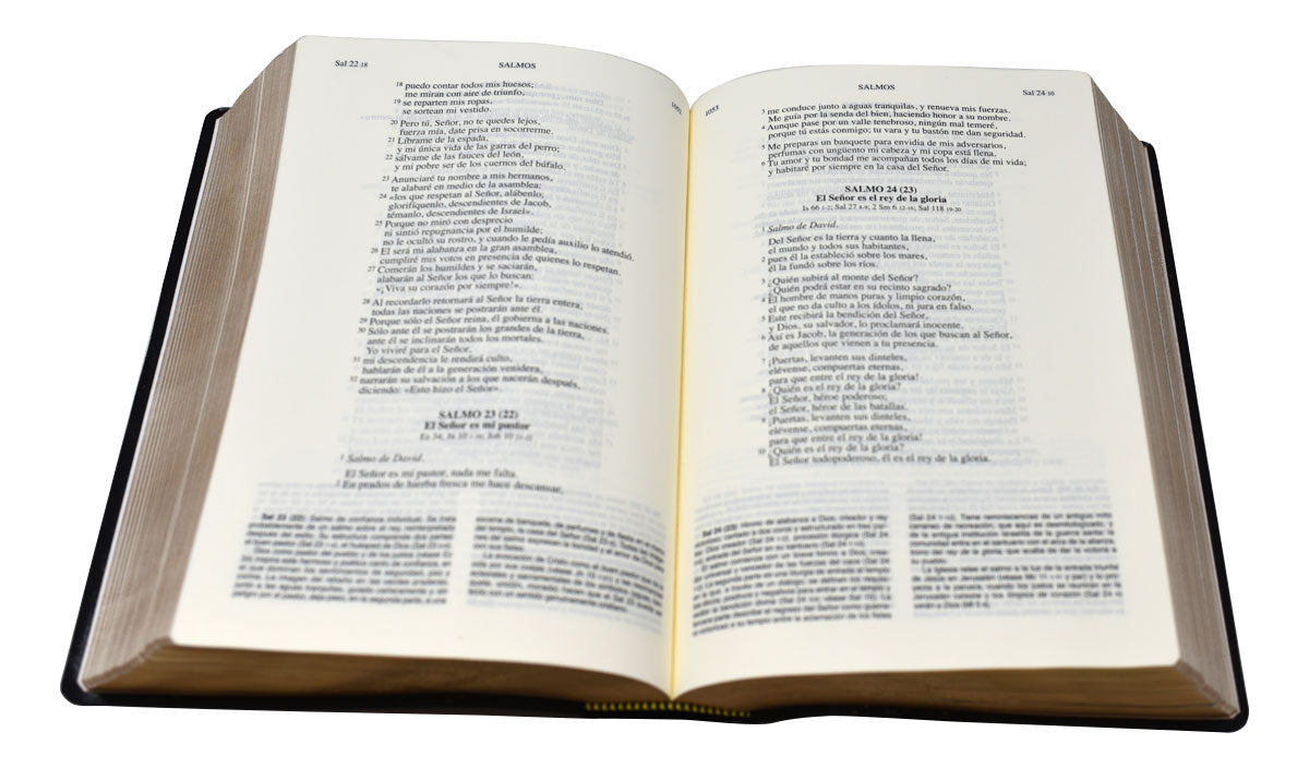 Biblia de America