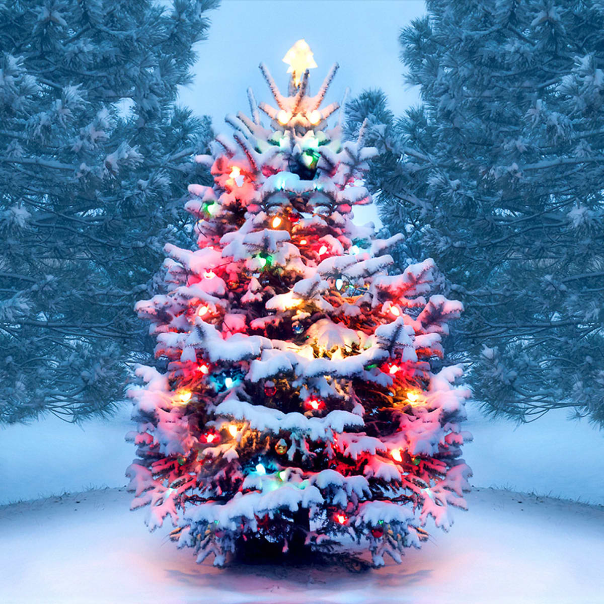Christmas