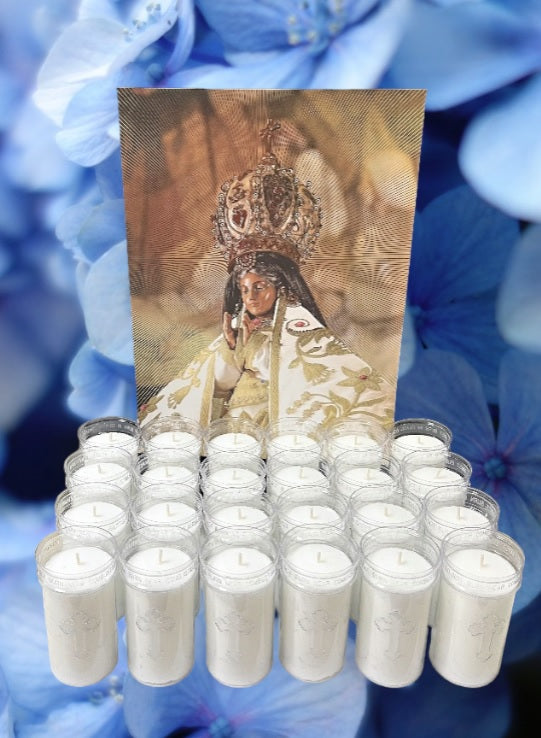 24 Candle Wax Inserts Root