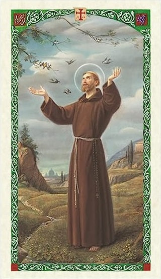 Novena Prayer to St. Francis of Assisi Holy Prayer Card Laminated