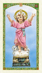 Prayer to The Divine Child Jesus Holy Prayer Card Laminated (ENGLISH/SPANISH)