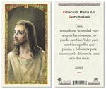 Prayer for Serenity Holy Prayer Card Laminated (ENGLISH/SPANISH)