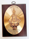 Basilica of the National Shrine of Our Lady of San Juan del Valle Plaque