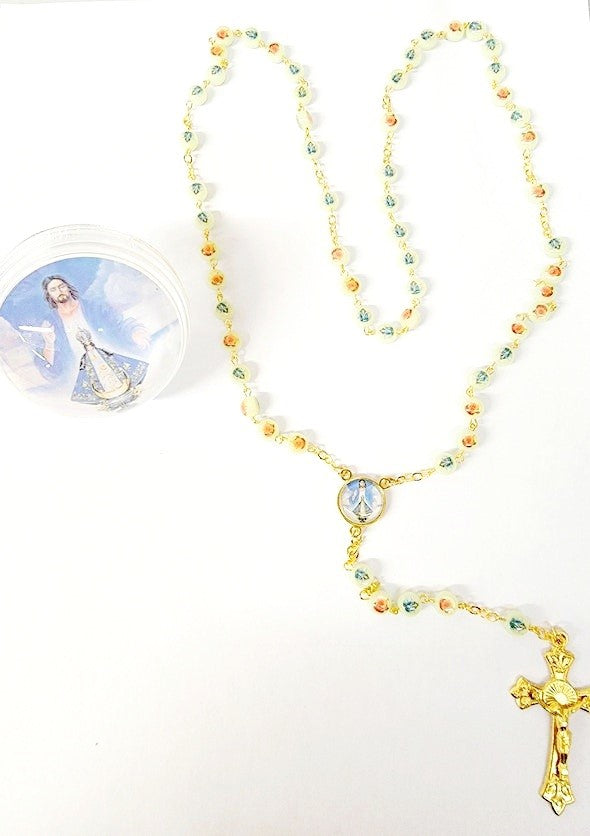 Luminous Rosary with Case (MORE SAINTS)