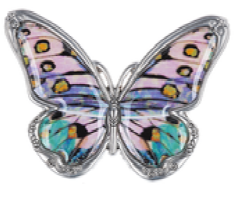Miracle of Each Day Butterfly Pocket Charm