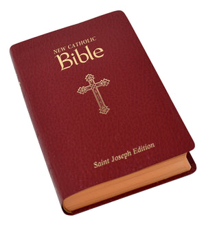 New Catholic Bible Personal Size