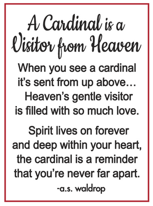 A Cardinal is a Visitor From Heaven Pocket Charm