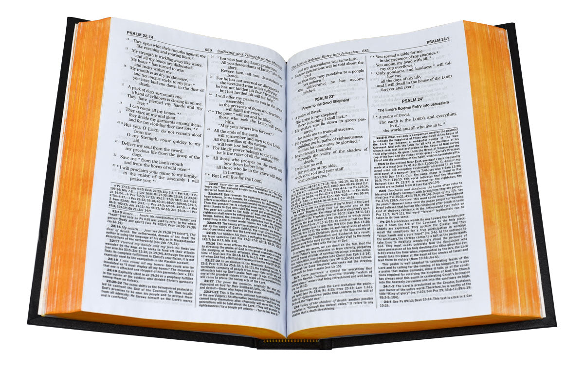 New Catholic Bible Large Print