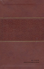 Treasury of Novenas