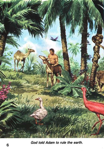 First Children's Bible