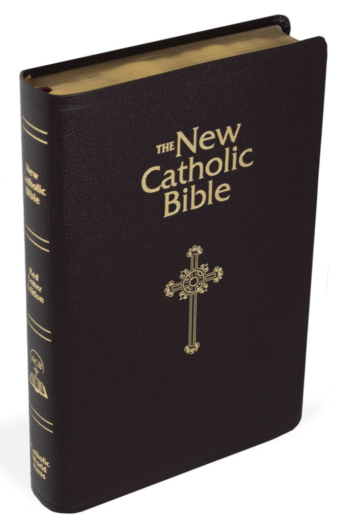 New Catholic Bible Deluxe Gift