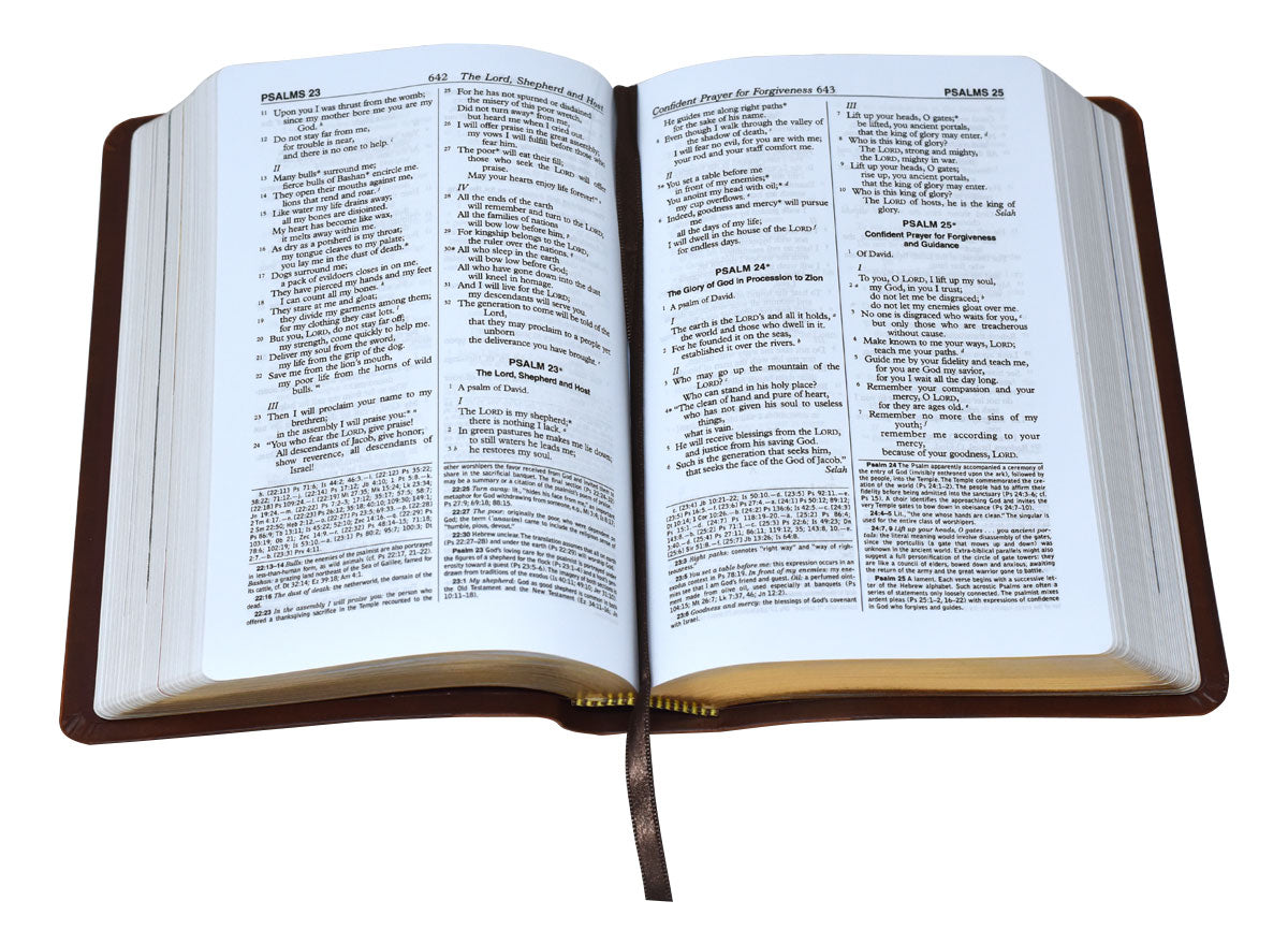 New American Bible (MORE COLORS)